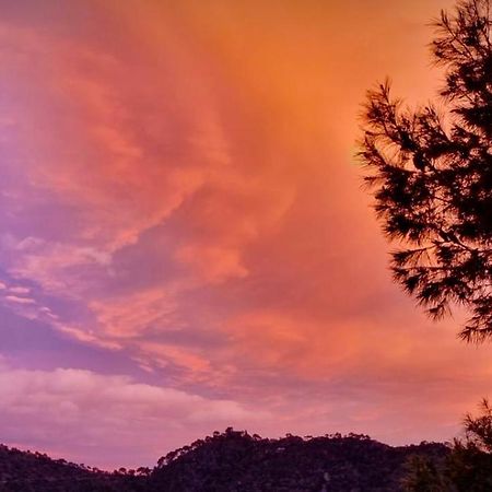 Apartamento En La Montana, Serra Εξωτερικό φωτογραφία